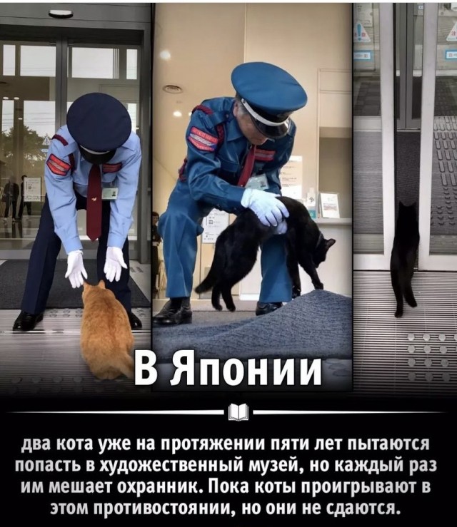 Картинки и мемы, всяко разно - 179