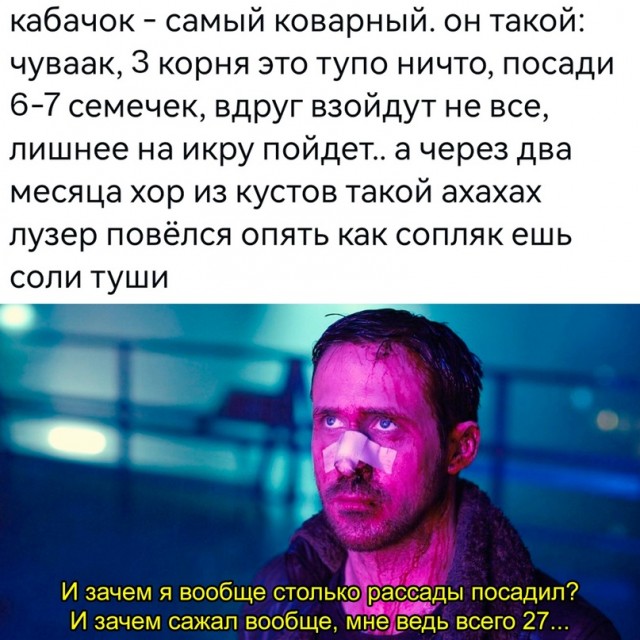 Картинки и мемы, всяко разно - 185