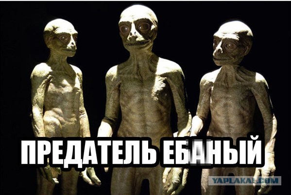 Инвазивные растения: Невольные странники или агрессивные захватчики?
