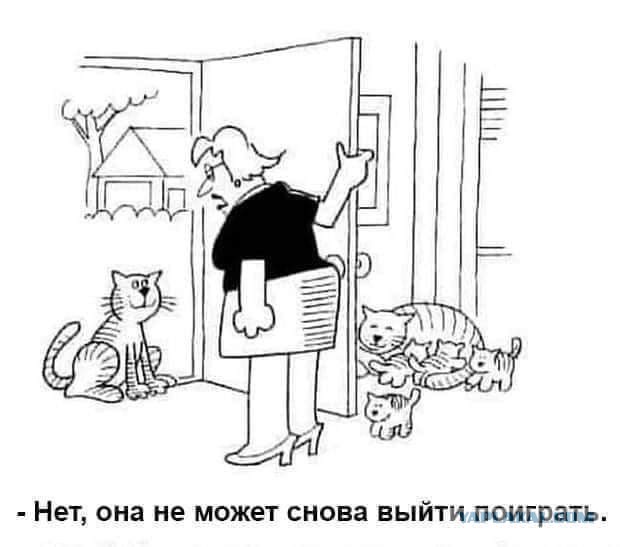 Пополнение, которого не ждали