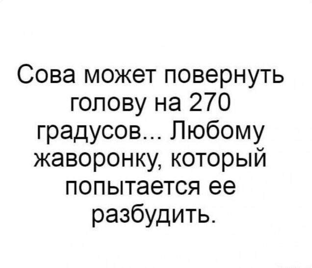 Так себе картинки 07.08.24