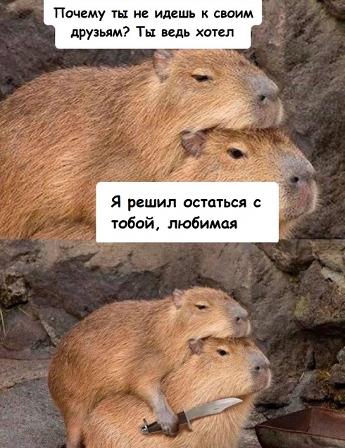 ТРРРидцать тРРРи от 22 мая