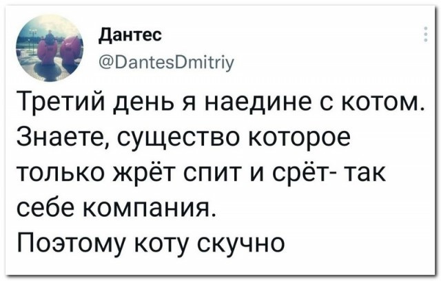 Причины женской мозгоебли