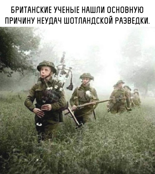 Картинки для деградации 33 (разной степени свежести)