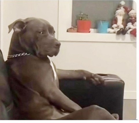 Как говорит наш дорогой шеф, если человек идиот, то это надолго!