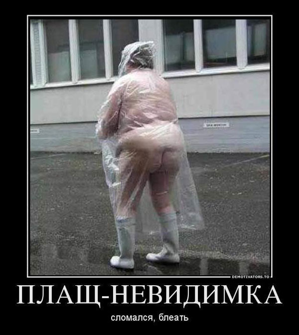 Заключительные баяны 2025