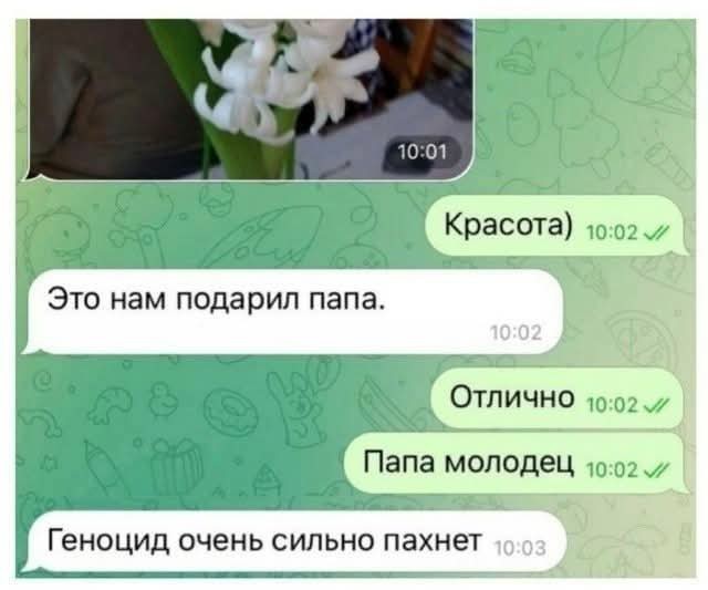 Картинки для деградации 183 (разной степени свежести)