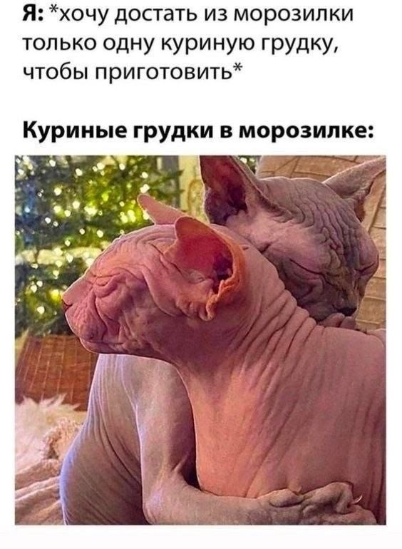 Среды картинки