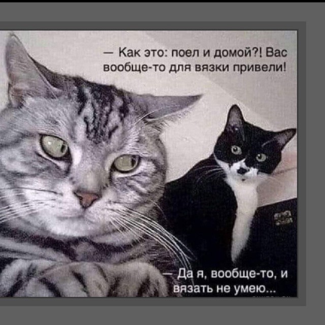 Девушке отказали в собеседовании