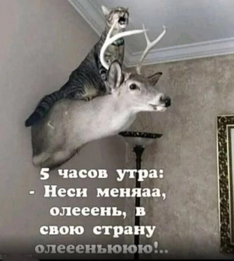 Картинки для деградации 252 (разной степени свежести)