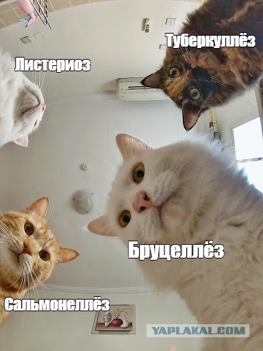 Советских детей всё меньше