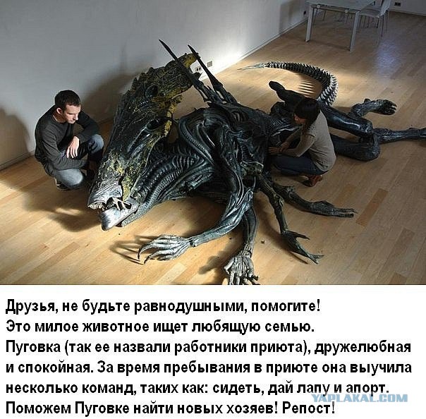 Деанонимизация прошла успешно!