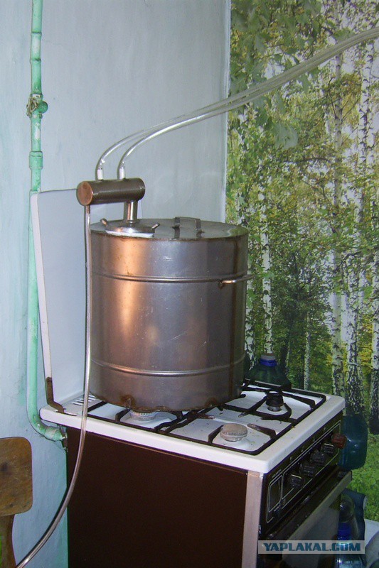 Самостоятельный гон.