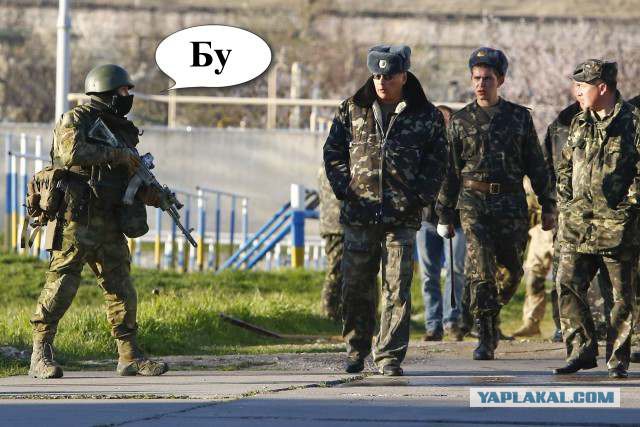Вежливые на Бельбеке