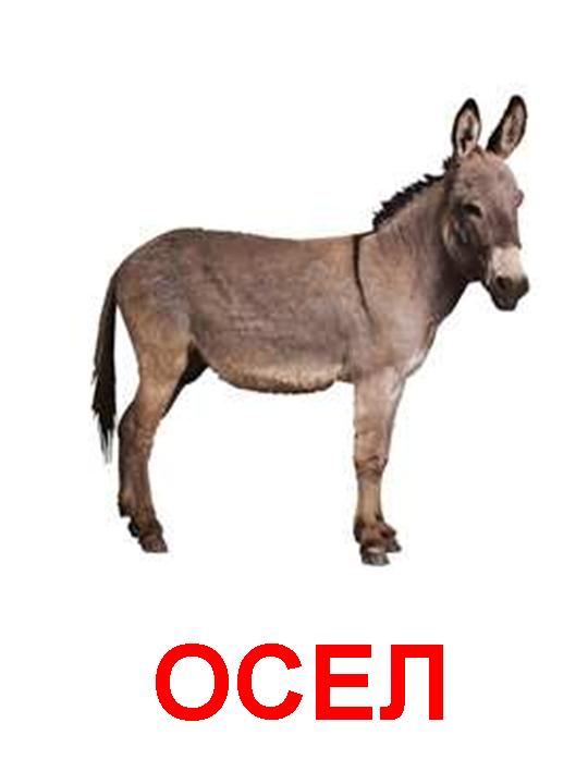 Я в полном шоке и страхе!
