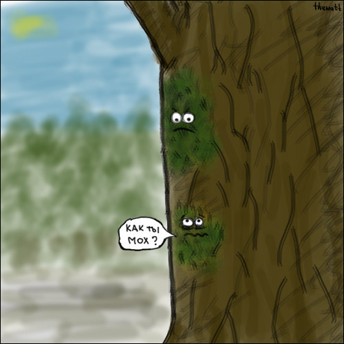 Картинки