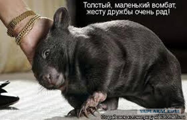 Кому юки отсыпать?