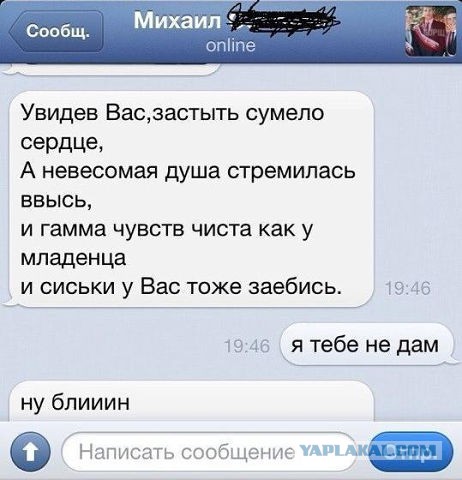 Подборка веселых картинок