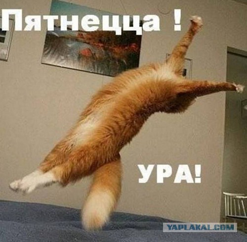 Пятница и 4 дня выходных!