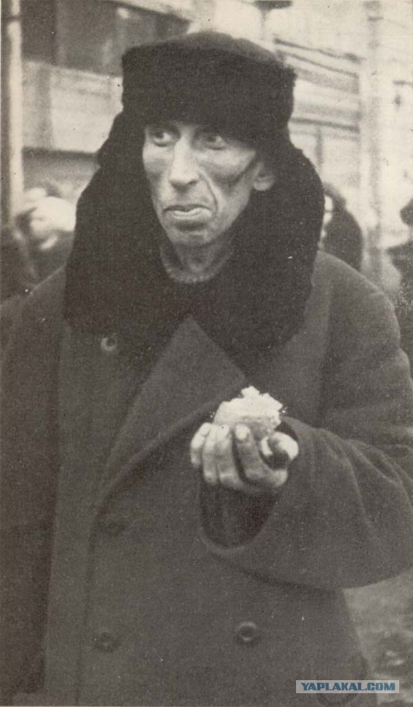 Один день из жизни англичанки 41-го