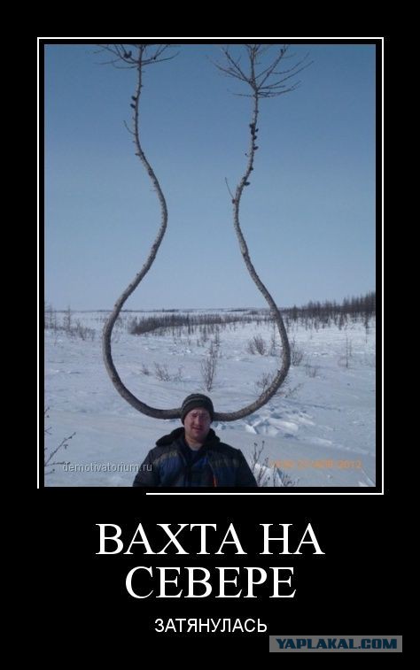 Веселые картинки