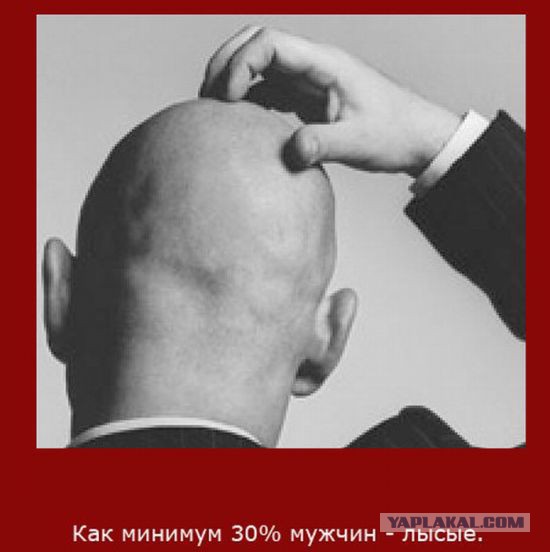 20 фактов обо всем
