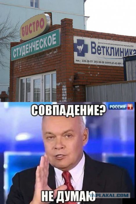 Подборка картинок