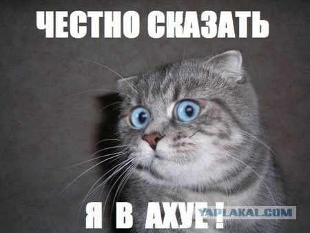 Добрались и до "Ивана Васильевича"....?