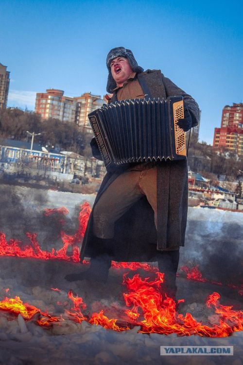 Робот-помидор (японцы жгут)