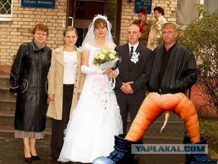 Прикольные картиночки