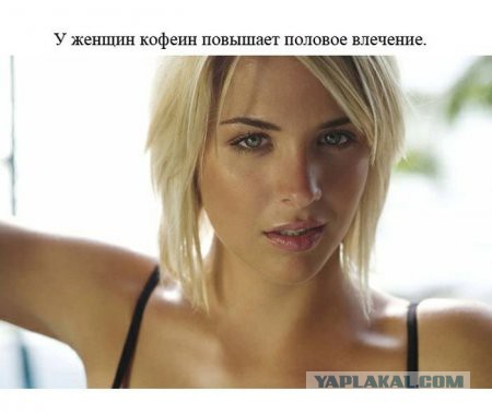 Интересные факты о разном