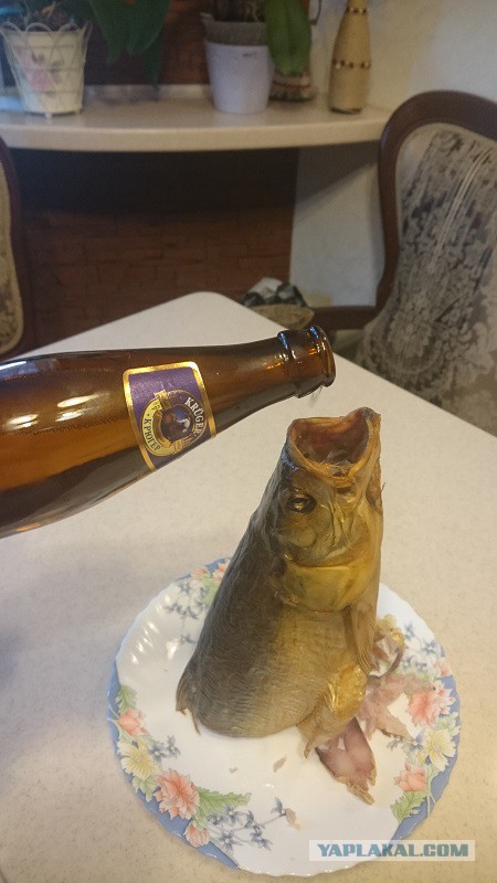 Евро 2016