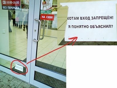 Прикольные картинки