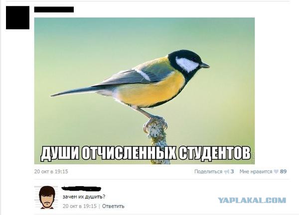 Подборка баянов.