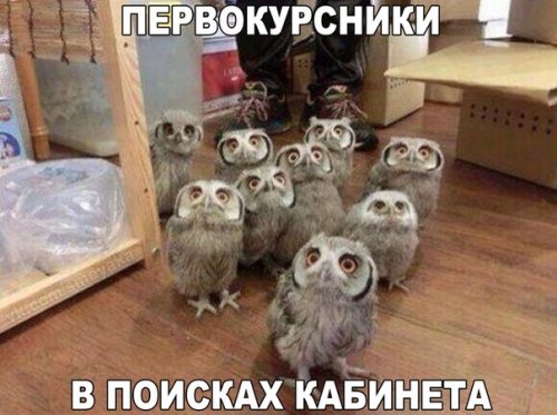 Сборник "баянов" со всего Интернета - 2