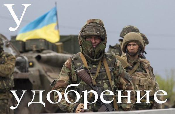 В Сирии уничтожены бандеровцы