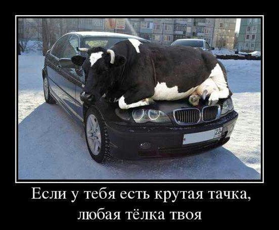 Немного картинок и демотиваторов