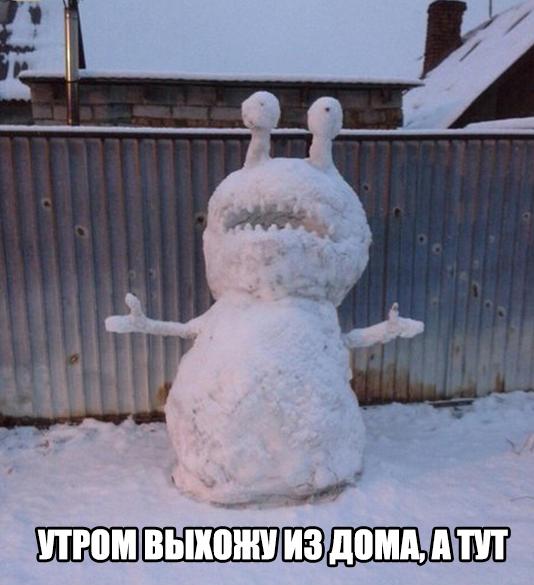 Прикольные картинки