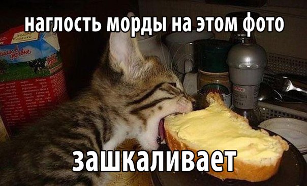 Картинки и демотиваторы