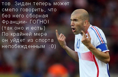 Чемпионат мира по футболу 2006