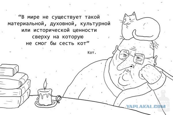 Смешные комментарии 13.03.2016