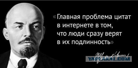 Внучка Сталина сфотографировалась в образе панка в США