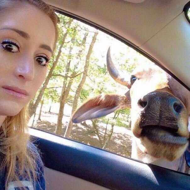 Ужасы и приколы из соцсетей 18+