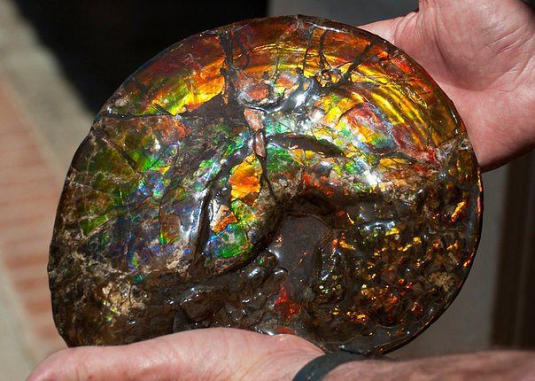 Подборка картинок