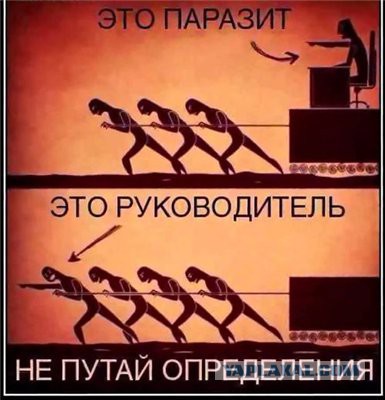 Смешные комментарии из социальных сетей 13.05.2016