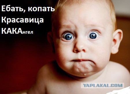 Создатель Перископа