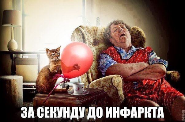 Мохнатые беспредельщики