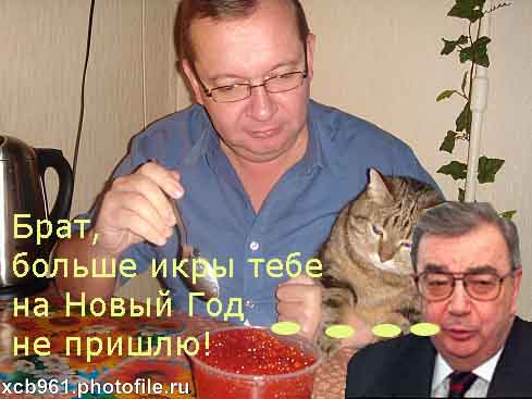 Фотожаба: Правильное питание для кота