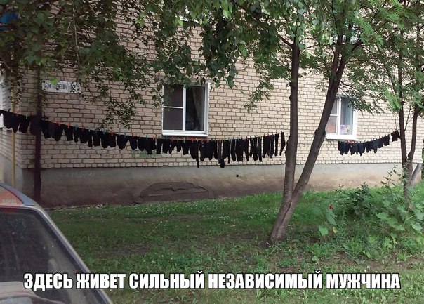 Картинки и гифки, глаза порадовать