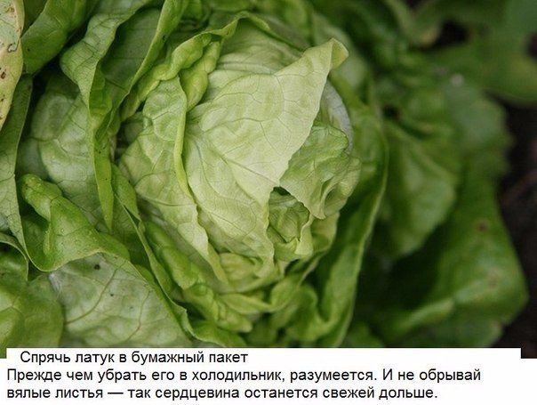 Подборка фото